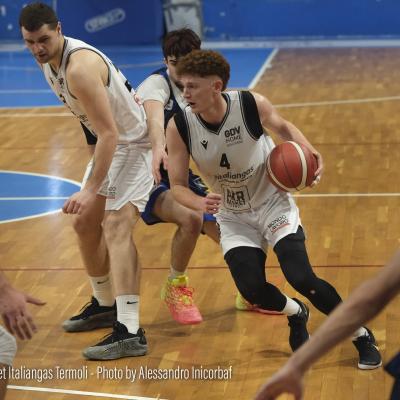 08 12 2024 Air Basket Vs Lions Bisceglie 15